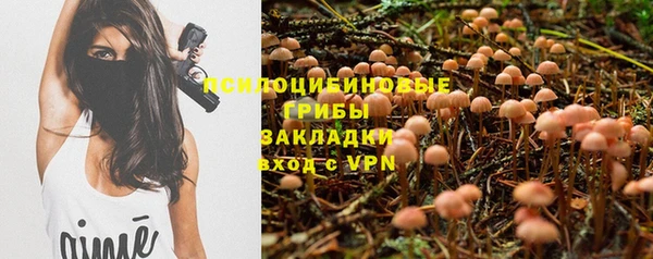 мет Белокуриха